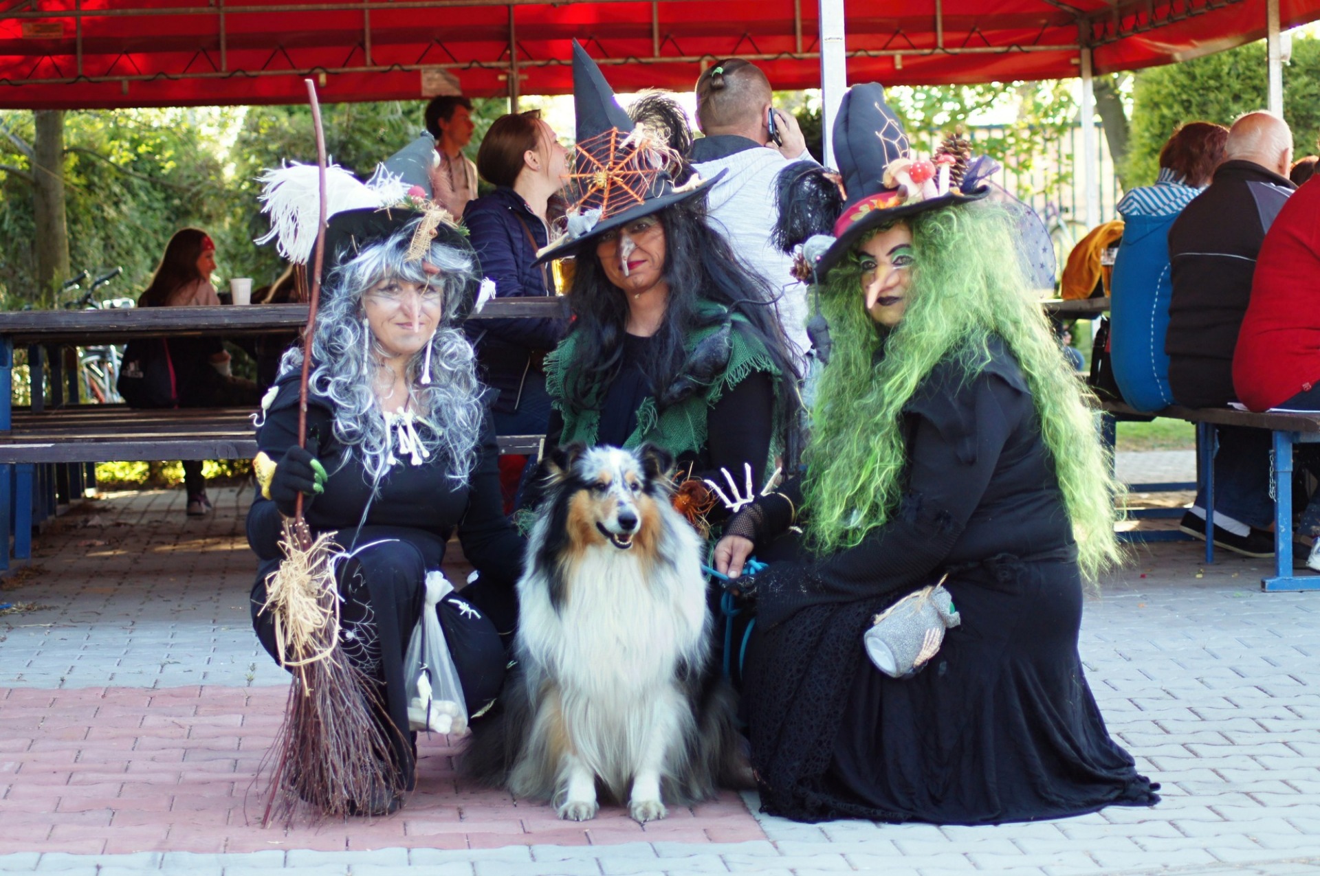 Ukázka psích triků -  Pálení čarodějnic Kravaře 