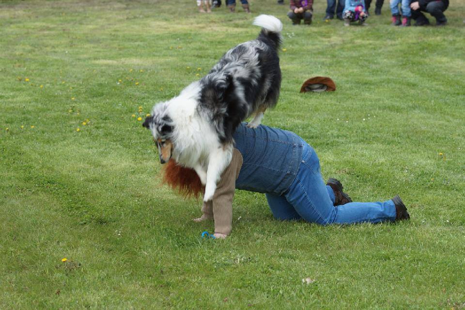 Westernový den - Úvalno 