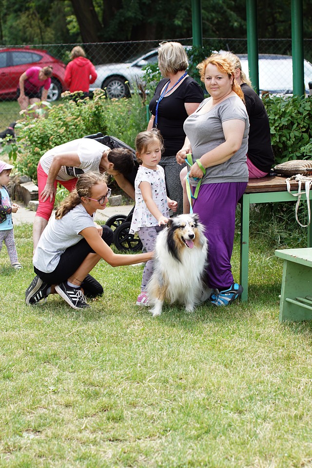 Dolnobenešovská kost 